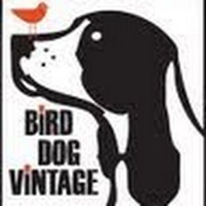 Meet your Posher, Anne